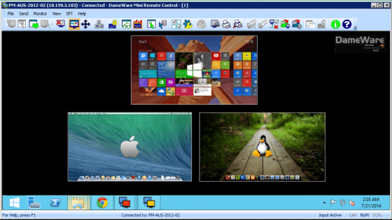 DameWare Remote Support