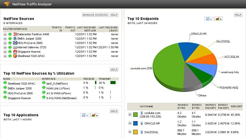 NetFlow Traffic Analyzer